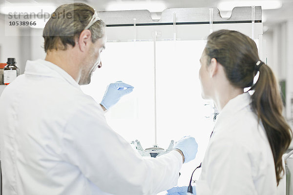 Wissenschaftler arbeiten im Labor zusammen