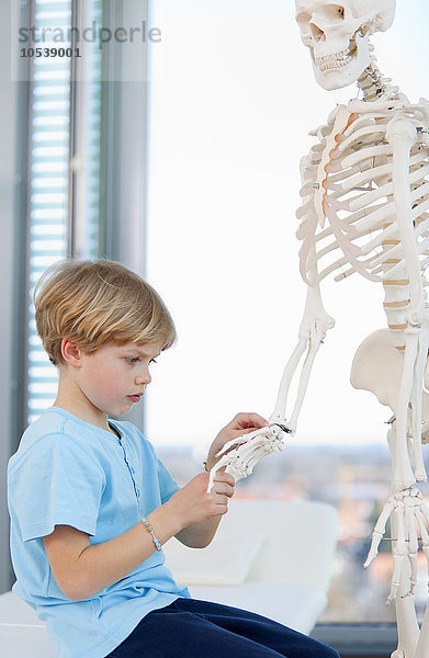 Junge untersucht Skelett beim Arzt