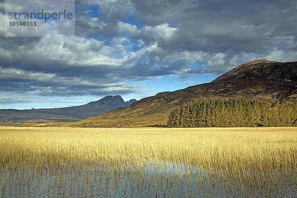 Panoramablick sonnige Sümpfe und Hügel  Loch Carron  Wester Ross  Schottland