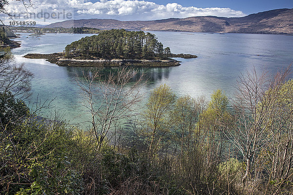 Bäume auf kleiner Seeinsel  Loch Torridon  Wester Ross  Schottland