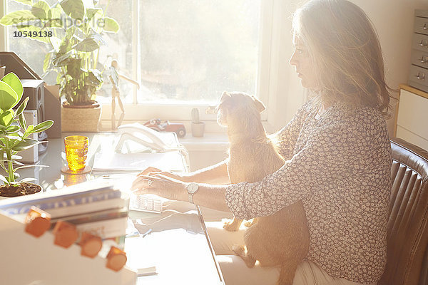 Frau mit Hund auf dem Schoß Tippen auf der Tastatur im sonnigen Home-Office