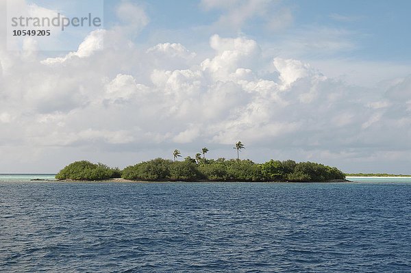 Kleine unbewohnte Insel im Indischen Ozean  Rasdhoo-Atoll  Malediven  Asien