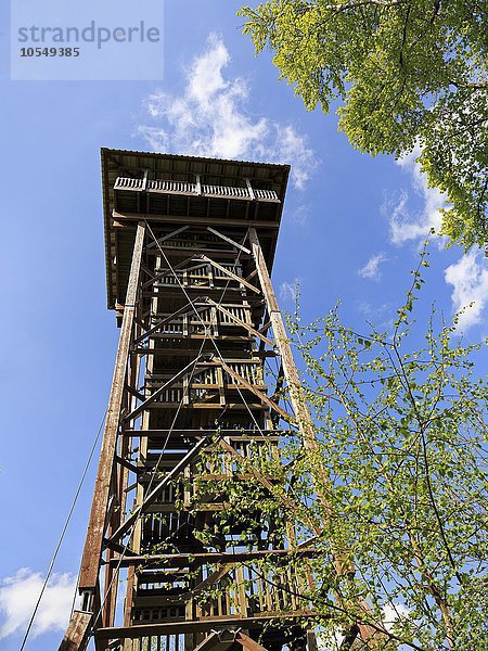 Aussichtsturm  Museumsturm auf dem Hungerberg  ehemalige Telegrafenstation  Vörden  Marienmünster  Nordrhein-Westfalen  Deutschland  Europa