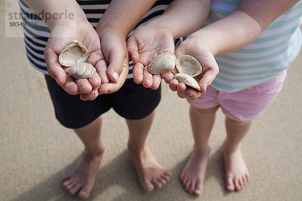 Zwei Kinder mit Händen  die Muscheln halten.