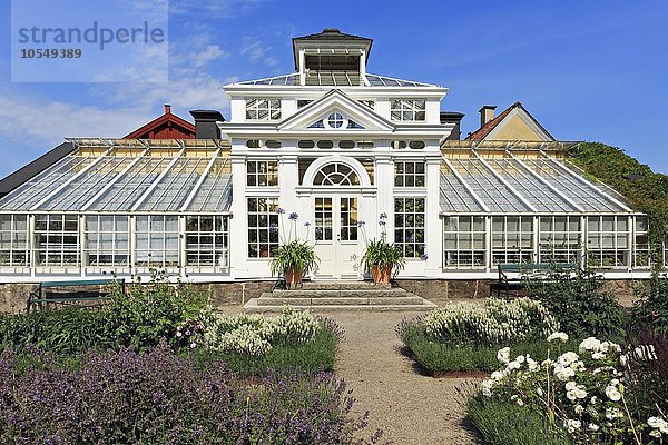 Gewächshaus mit Blumenbeeten im Schlossgarten Gripsholm  Mariefred  Strängnäs  Södermanlands Län  Schweden  Europa
