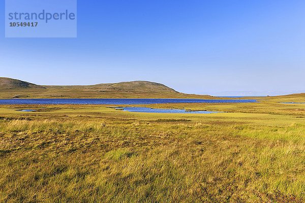 Karge Landschaft mit Wiesen und Gletscherseen  nahe Magerøya  Kommune Nordkap  Finnmark  Norwegen  Europa