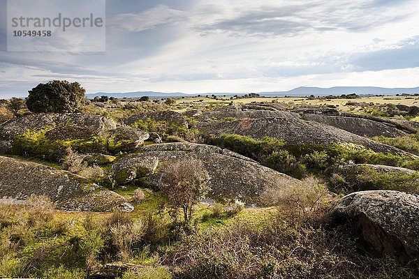 Granitfelsen  Naturschutzgebiet Los Barruecos  Extremadura  Spanien  Europa