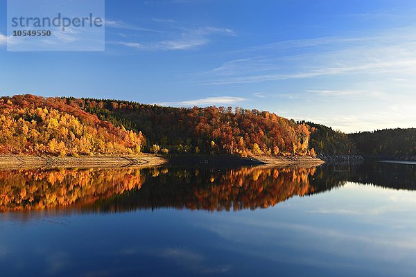 Laubwald in Herbstfarben am Ufer der Rappbode-Talsperre im Harz  bei Elbingerode  Sachsen-Anhalt  Deutschland  Europa