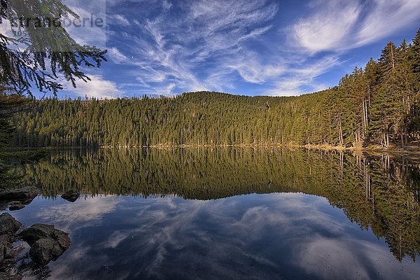 Spiegelung mit Wolken am Teufelssee im Herbst  Certovo jezero  Nationalpark Sumava  Böhmerwald  Tschechien  Europa