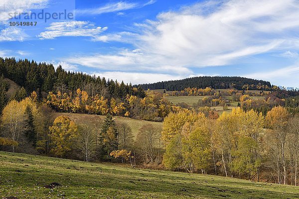 Herbst im Nationalpark Sumava  Böhmerwald  Tschechien  Europa