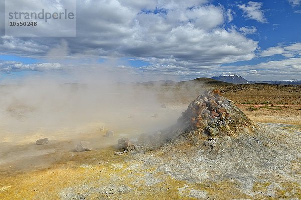 Dampfende Fumarole und Solfatare am Hverarönd  Namafjall  Myvatn-Gebiet  Island  Europa
