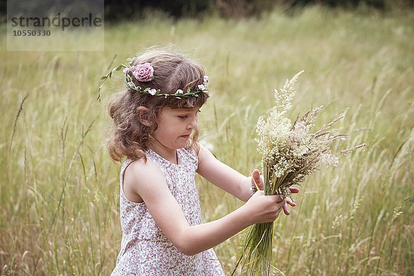 Junges Mädchen mit Blumen im Haar  das auf einer Wiese Wildblumen pflückt.