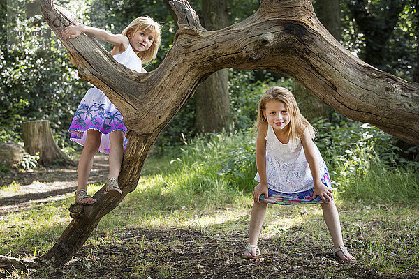 Zwei junge Mädchen klettern in einem Wald auf einen Baum.