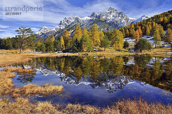 Verschneite Berge und herbstlicher Lärchenwald spiegeln sich im Lai Nair  Schwarzsee  Tarasp  Engadin  Kanton Graubünden  Schweiz  Europa