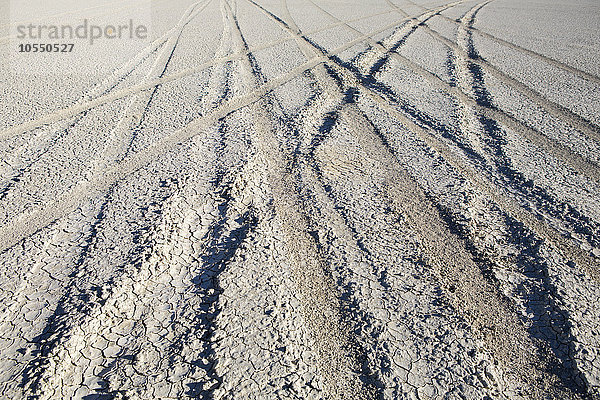 Reifenspuren auf der Playa  Salzfläche.