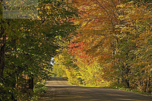 Schotterstraße  Herbstfarben  Eastern Townships  Foster  Québec  Kanada  Nordamerika