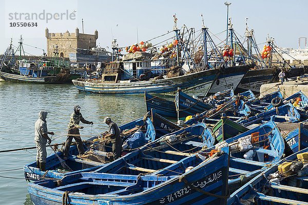 Blaue Fischerboote im Hafen  Essaouira  Marokko  Afrika