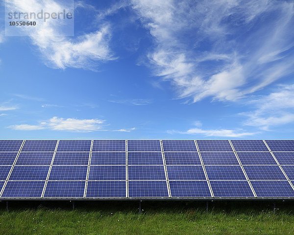 Sonnenkollektoren in einem Solarpark  Großbritannien  Europa