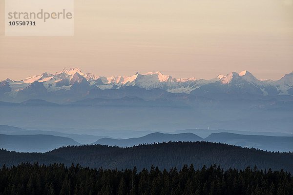 Sonnenaufgang  Ausblick nach Süden auf die Schweizer Alpen vom Feldberg  Schwarzwald  Baden-Württemberg  Deutschland  Europa