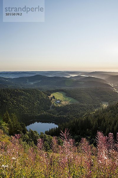Ausblick zum Feldsee nach Osten vom Feldberg  Schwarzwald  Baden-Württemberg  Deutschland  Europa