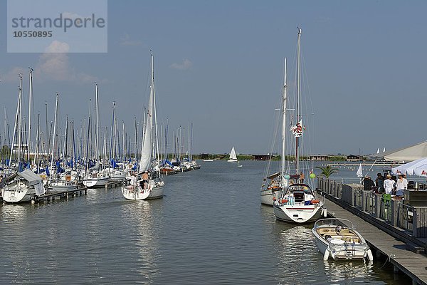 Yachthafen am Strandbad Rust am Neusiedler See  Ruster Bucht  Burgenland  Österreich  Europa