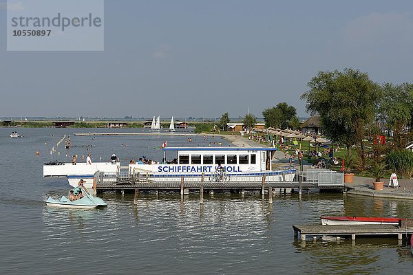 Schifffahrt Knoll  Fährschiff am Hafen und Strandbad von Rust am Neusiedler See  Ruster Bucht  Burgenland  Österreich  Europa