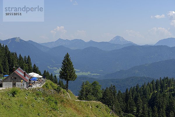 Strasser Alm am Brauneck  bei Lenggries  Oberbayern  Bayern  Deutschland  Europa