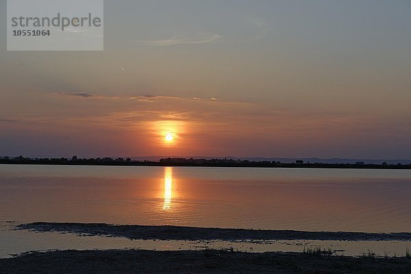 Sonnenuntergang an der Lacke Darscho bei Apetlon Illmitz  Nationalpark Neusiedler See  Seewinkel  Burgenland  Österreich  Europa