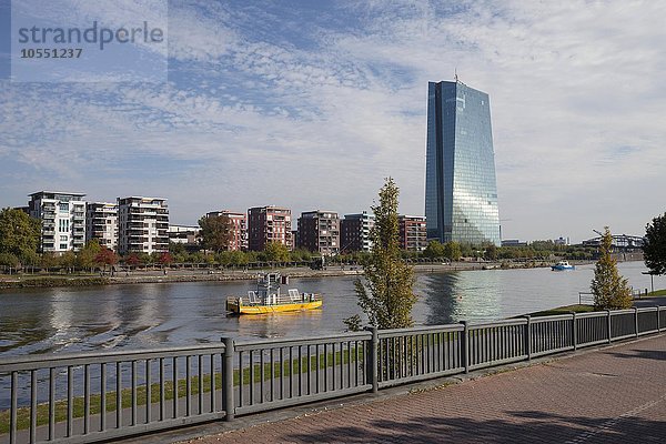 Neue Europäische Zentralbank  EZB  Frankfurt am Main  Hessen  Deutschland  Europa