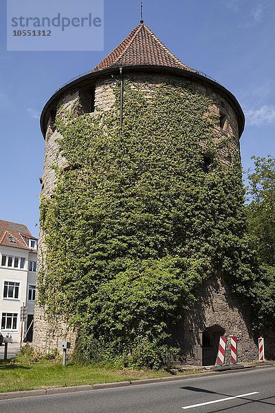 Bucksturm  Wehrturm  Osnabrück  Niedersachsen  Deutschlnad