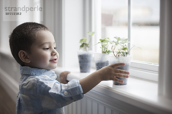 Ein kleiner Junge betrachtet junge Pflanzen in Töpfen  die auf einer Fensterbank wachsen.