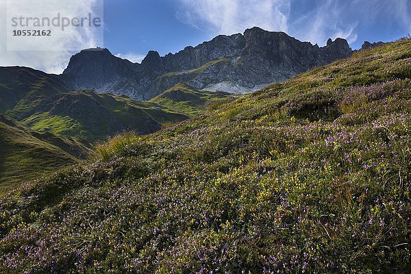 Wildkarkopf mit Heidekrautwiese  Naturpark Riedingtal  Radstädter Tauern  Niedere Tauern  Lungau  Salzburg