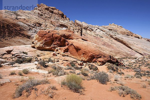 Farbige Sandsteinformationen beim Rainbow Vista  Valley of Fire State Park  Nevada  USA  Nordamerika