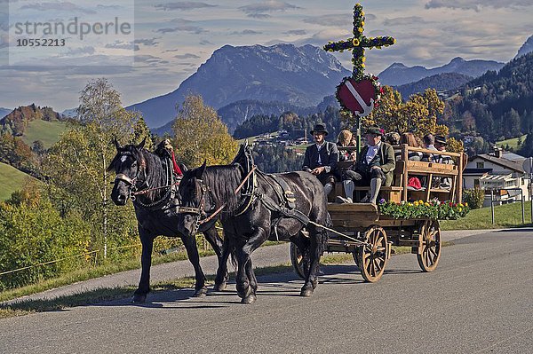 Leonhardiritt  Zweispänner mit Kreuz am Wagen  bei Hinterthiersee  hinten Zahmer Kaiser  Tirol  Österreich  Europa