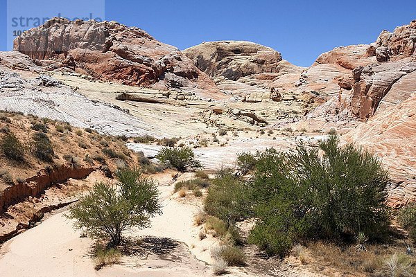 Farbige Sandsteinformationen  Valley of Fire State Park  Nevada  USA  Nordamerika