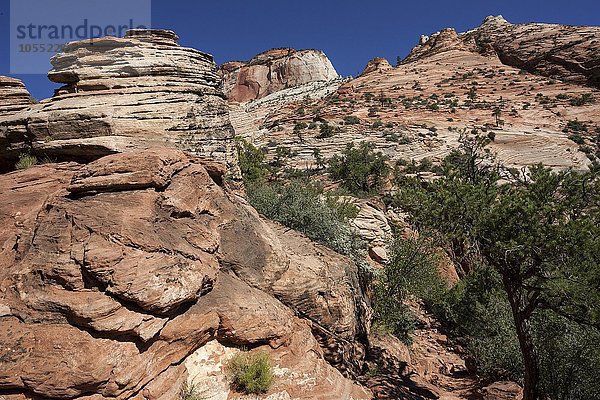 Gesteinsformationen aus Sandstein  Canyon Overlook Trail  Zion Nationalpark  Utah  USA  Nordamerika