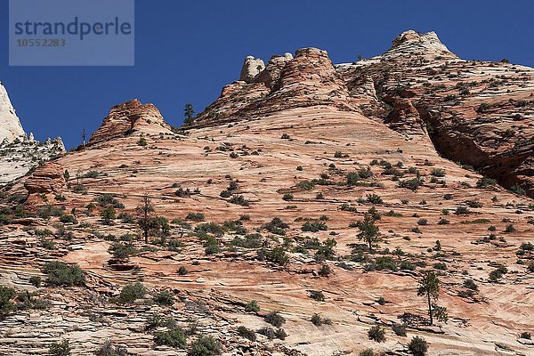 Gesteinsformationen aus Sandstein  Canyon Overlook Trail  Zion Nationalpark  Utah  USA  Nordamerika