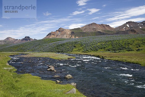 Fluss Fjarðará und Vulkanberge  Borgafjördur  Island  Europa