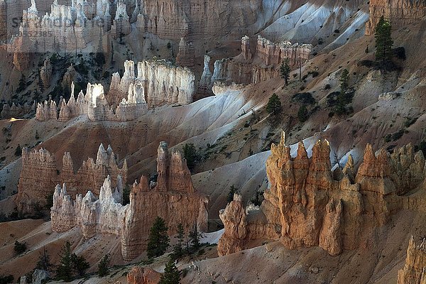 Ausblick auf farbige Gesteinsformationen  Hoodoos  Bryce Canyon Nationalpark  Utah  USA  Nordamerika