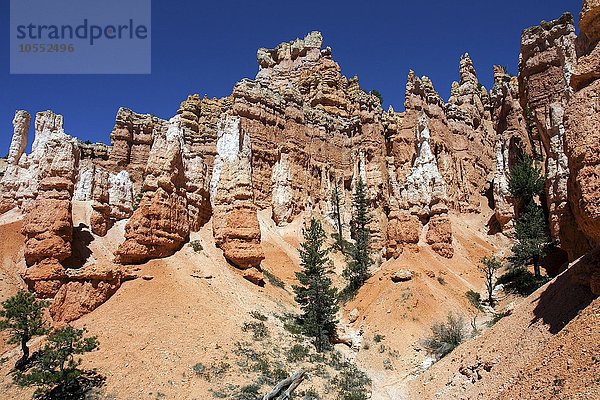 Farbige Gesteinsformationen  Hoodoos  am Queens Garden Trail  Bryce-Canyon-Nationalpark  Utah  USA  Nordamerika