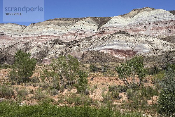 Farbige Gesteinsformationen am Utah Highway 24  östlich vom Capitol Reef  Utah  USA  Nordamerika