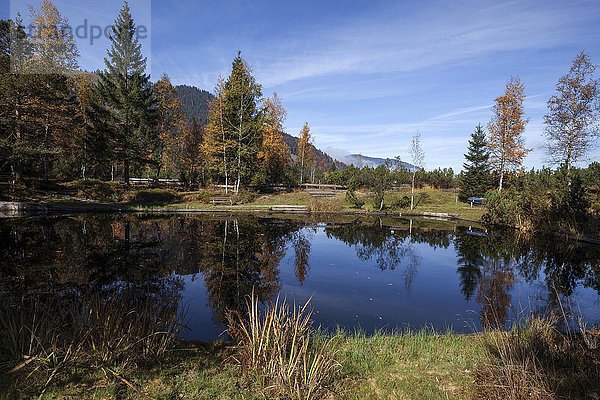 Moorsee  Kematsrieder Moor oder Moos  Herbststimmung  Oberjoch  Allgäu  Bayern  Deutschland  Europa