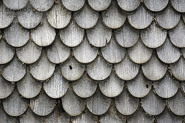Alte Holzschindeln an einem Bauernhaus  Winkel bei Sonthofen  Allgäu  Bayern  Deutschland  Europa