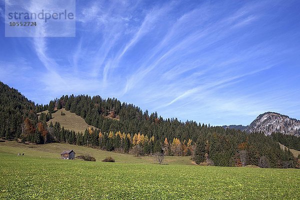 Weide und Wolkenformation  Bruck bei Bad Hindelang  Herbststimmung  Allgäu  Bayern  Deutschland  Europa