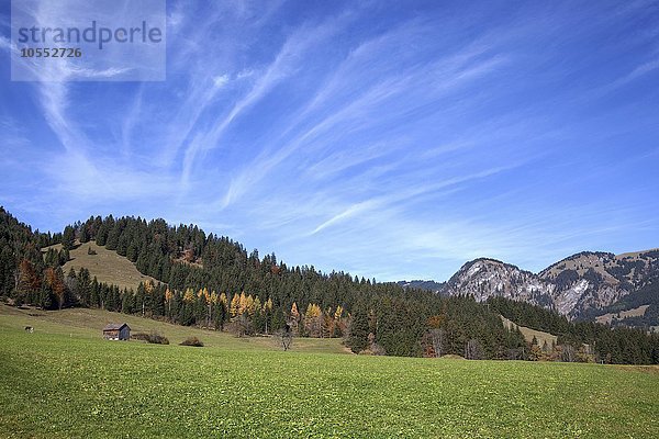 Weide und Wolkenformation   Bruck bei Bad Hindelang  Herbststimmung  Allgäu  Bayern  Deutschland  Europa