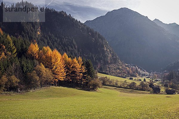 Ausblick ins Hintersteiner Tal im Herbst  Herbststimmung  bei Bruck  Allgäu  Bayern  Deutschland  Europa