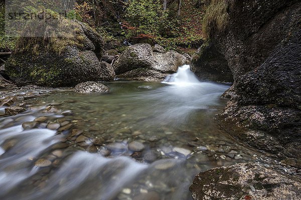 Ostertalbach im Ostertaltobel mit kleinem Wasserfall  Herbststimmung  Gunzesried-Säge  Allgäu  Bayern  Deutschland  Europa