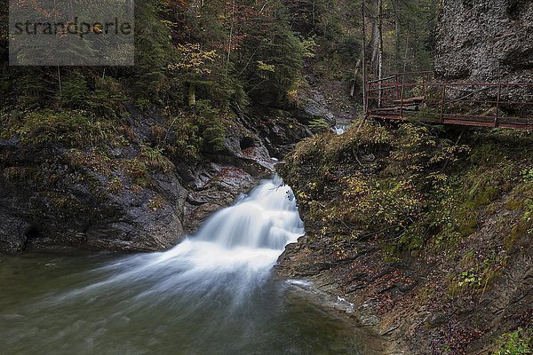 Ostertalbach im Ostertaltobel mit kleinem Wasserfall  Herbststimmung  Gunzesried-Säge  Allgäu  Bayern  Deutschland  Europa