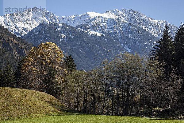 Hintersteiner Tal  hinten schneebedeckte Allgäuer Berge  Herbststimmung  bei Hinterstein  Allgäu  Bayern  Deutschland  Europa