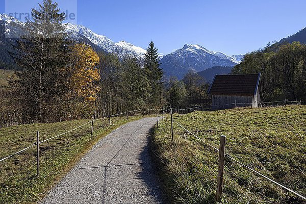 Wanderweg bei Hinterstein  hinten schneebedeckte Allgäuer Berge  Herbststimmung  Allgäu  Bayern  Deutschland  Europa